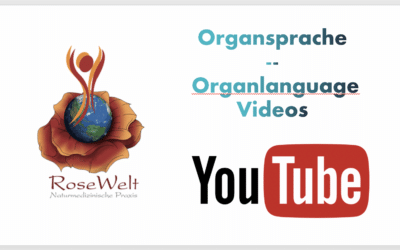 Organsprache / Organlanguage Video-Kanal