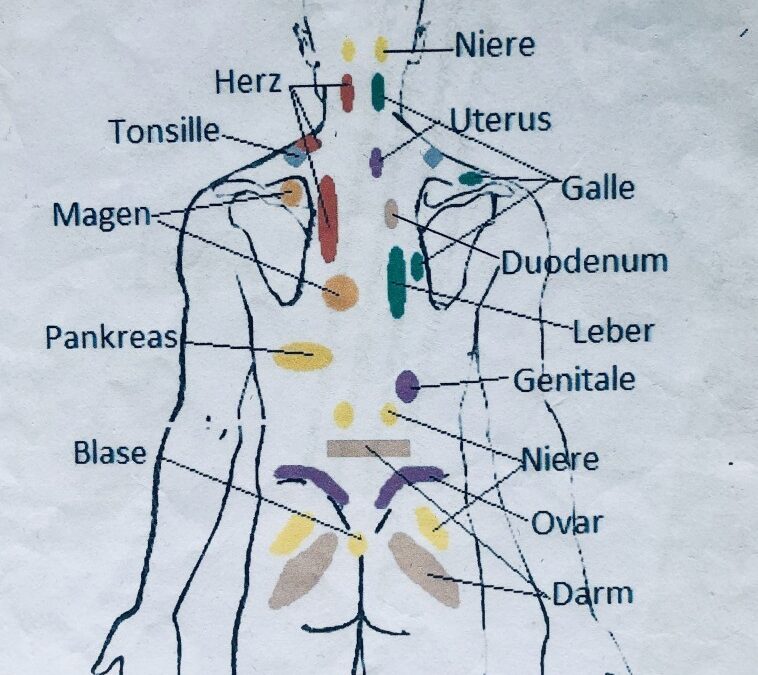 Reflexzonen am Körper – Die Landkarte unserer Gesundheit