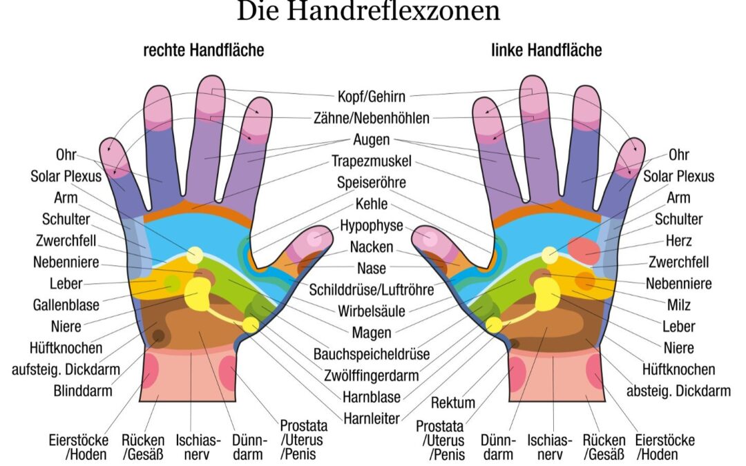 Reflexzonen am Körper – Die Landkarte unserer Gesundheit