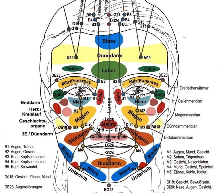 Reflexzonen am Körper – Die Landkarte unserer Gesundheit