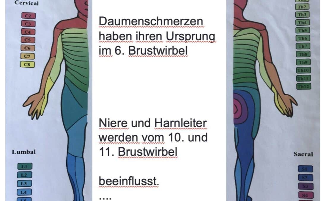 Reflexzonen am Körper – Die Landkarte unserer Gesundheit