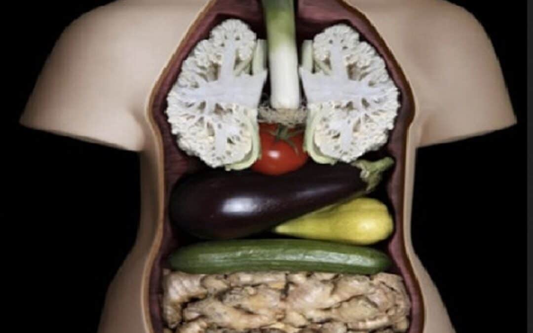 Reflexzonen am Körper – Die Landkarte unserer Gesundheit