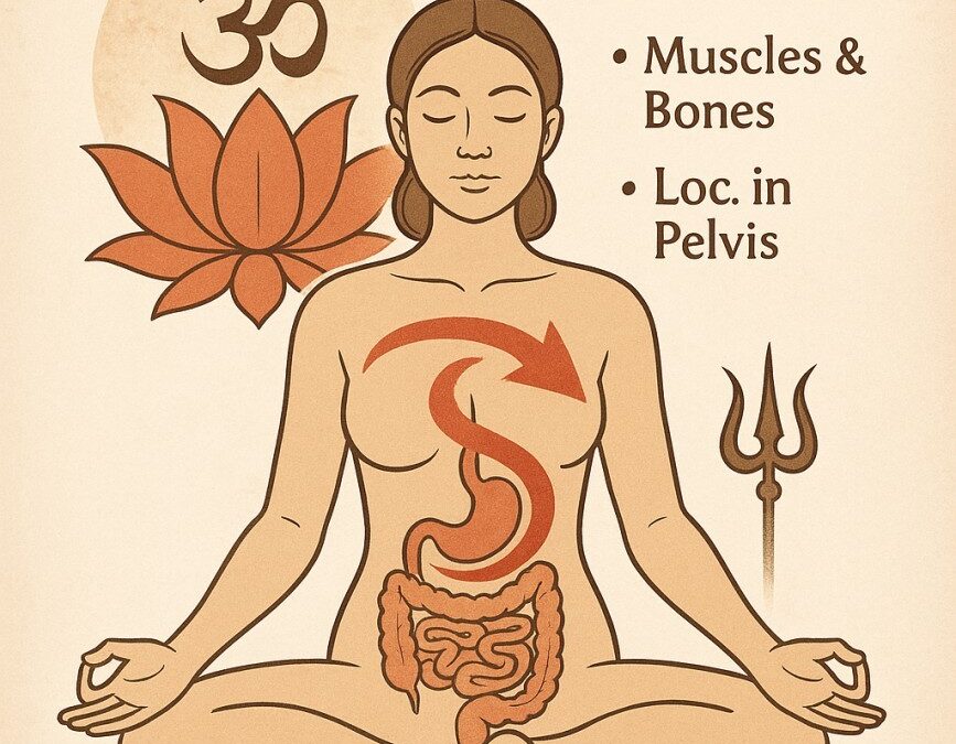 Niere – Knochen – Knieschmerzen aus Ayurvedischer Sicht