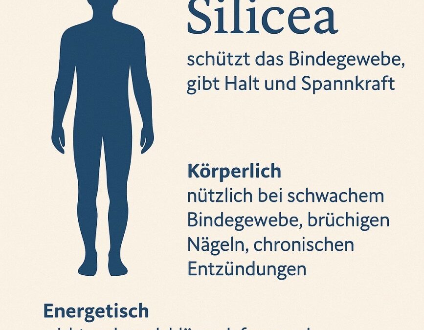 2. Energie – das Schüssler-Salz Nr. 11 (Silicea D12)