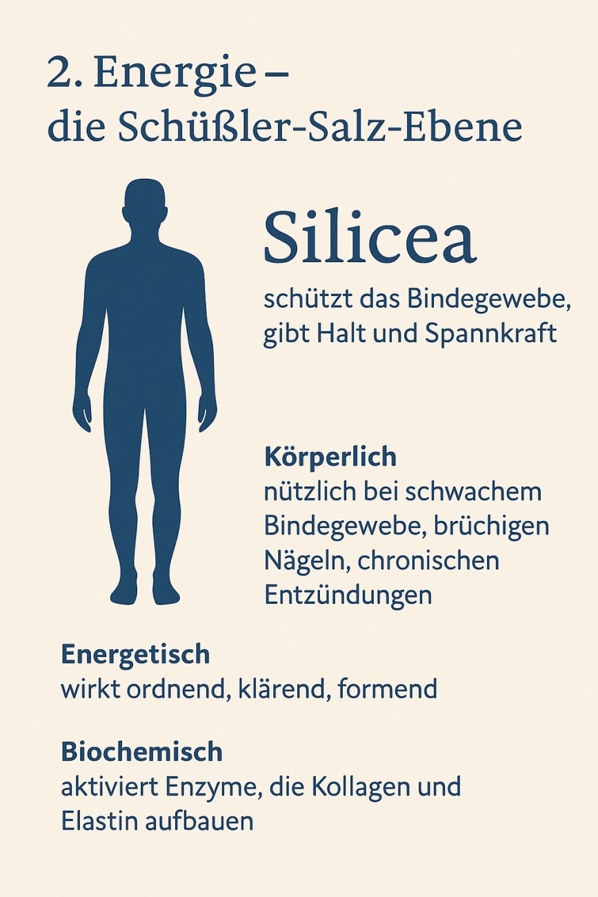 1760348963post_image29