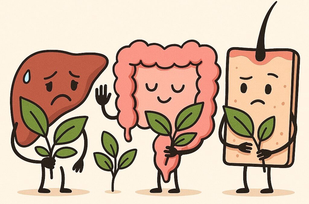 Die Organsprache – was dein Körper dir sagen möchte